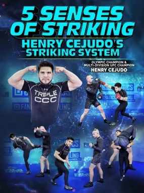 5 Senses of Striking by Henry Cejudo