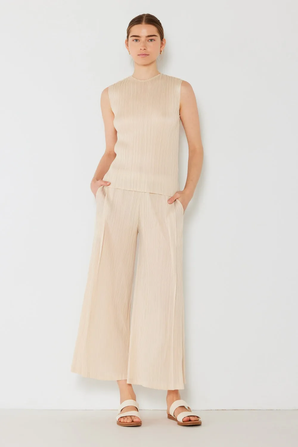 Pleated Wide-Leg Pants with Side Pleat Detail