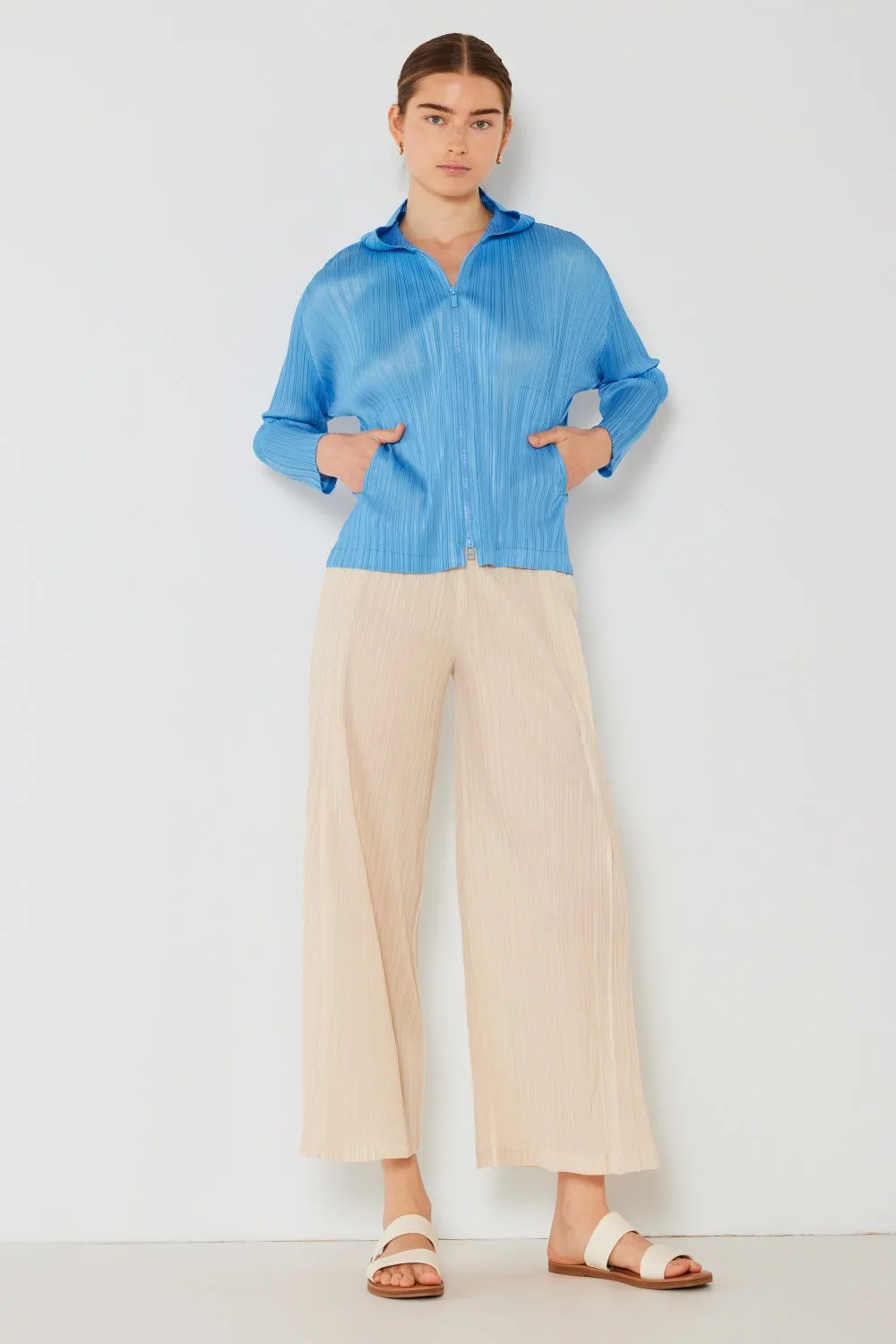 Pleated Wide-Leg Pants with Side Pleat Detail